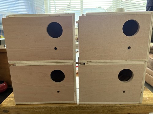 Budgie nesting allevamento - 6,