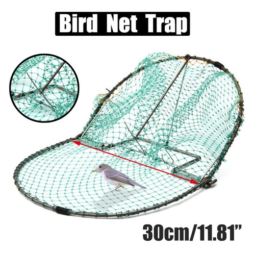 Trappola per uccelli - , cattura
