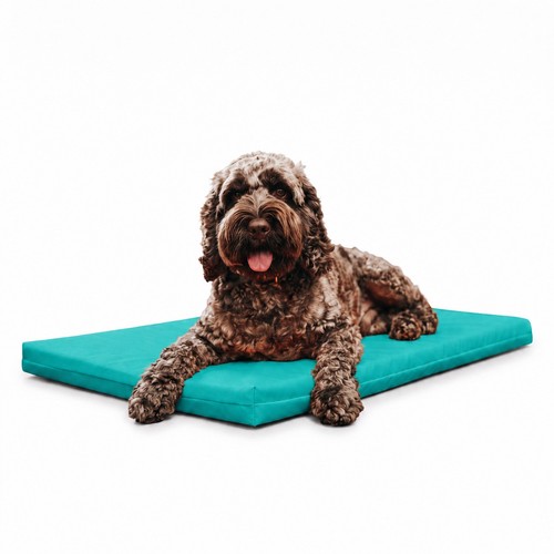 Maximum pet products cuccia - products, 2"
