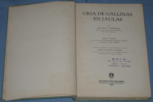 Cria gallinas jaulas - gallinas,