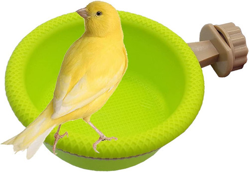 Bano para pajaros - para,