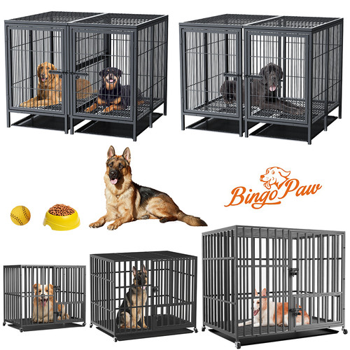 Box per cani xxl - per,